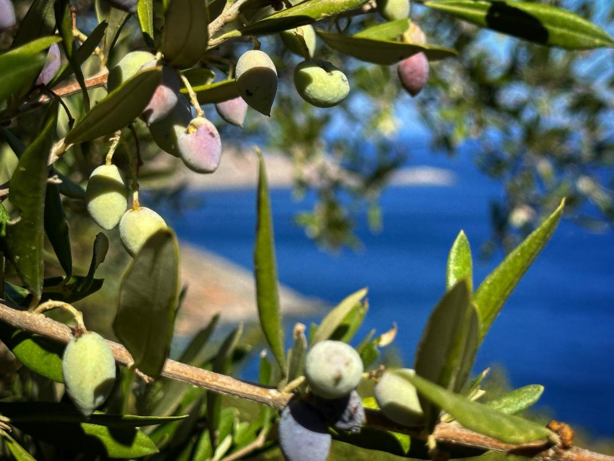 Maison Meltem Agia Pelagia  Exterior photo